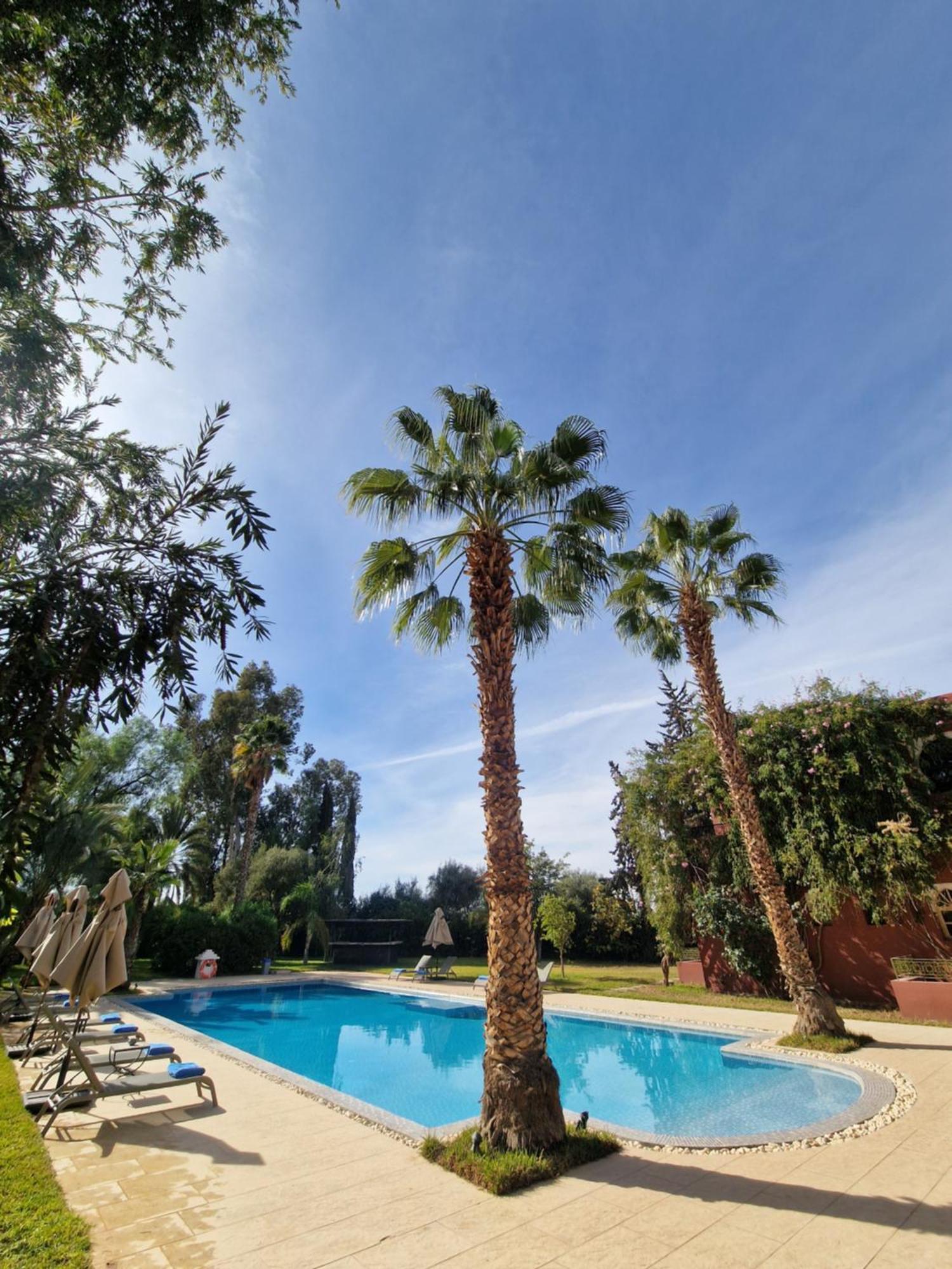 Palace Africa - Marrakech Palmeraie Dar Ilham Douar Blidene 외부 사진