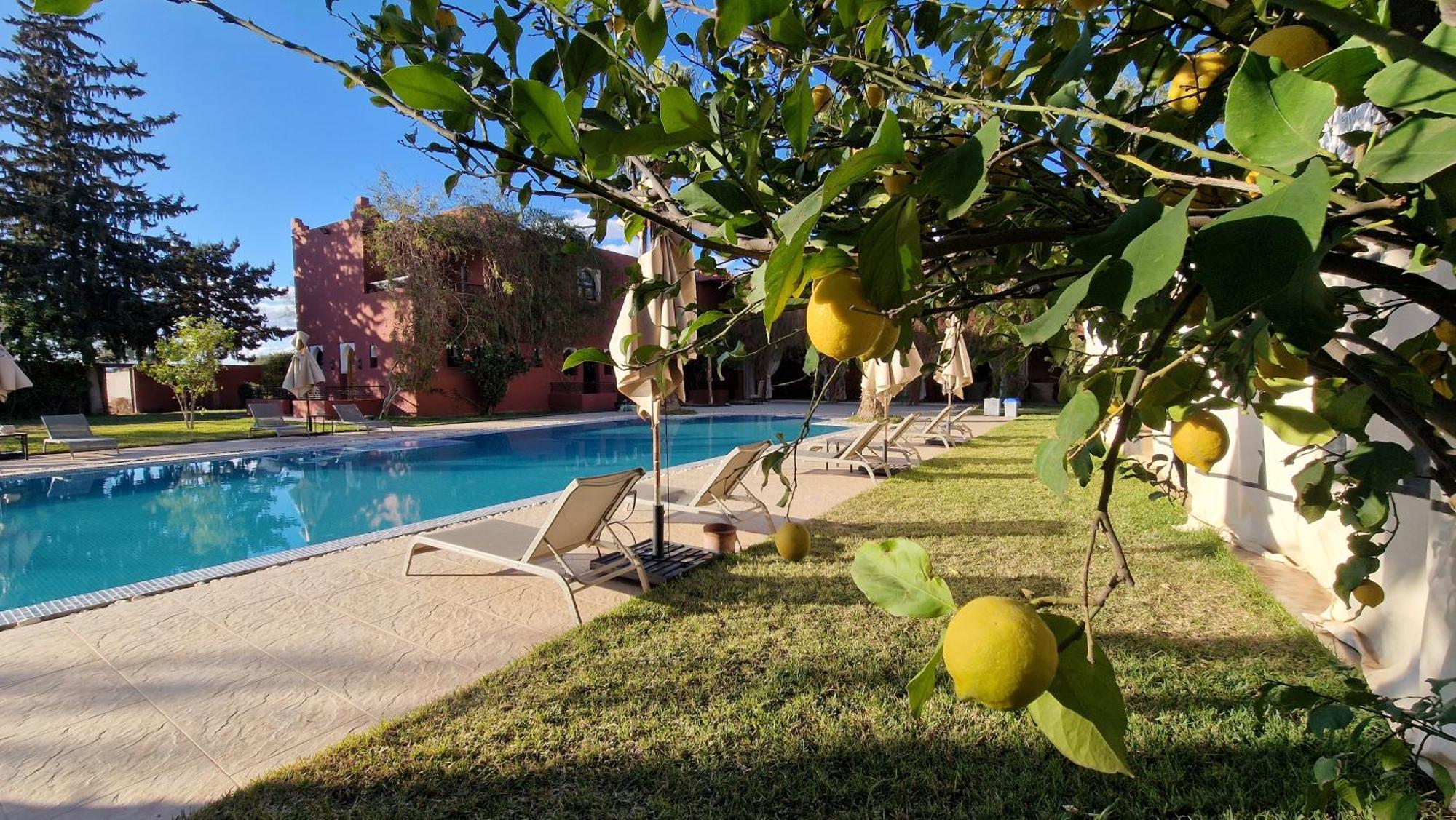 Palace Africa - Marrakech Palmeraie Dar Ilham Douar Blidene 외부 사진